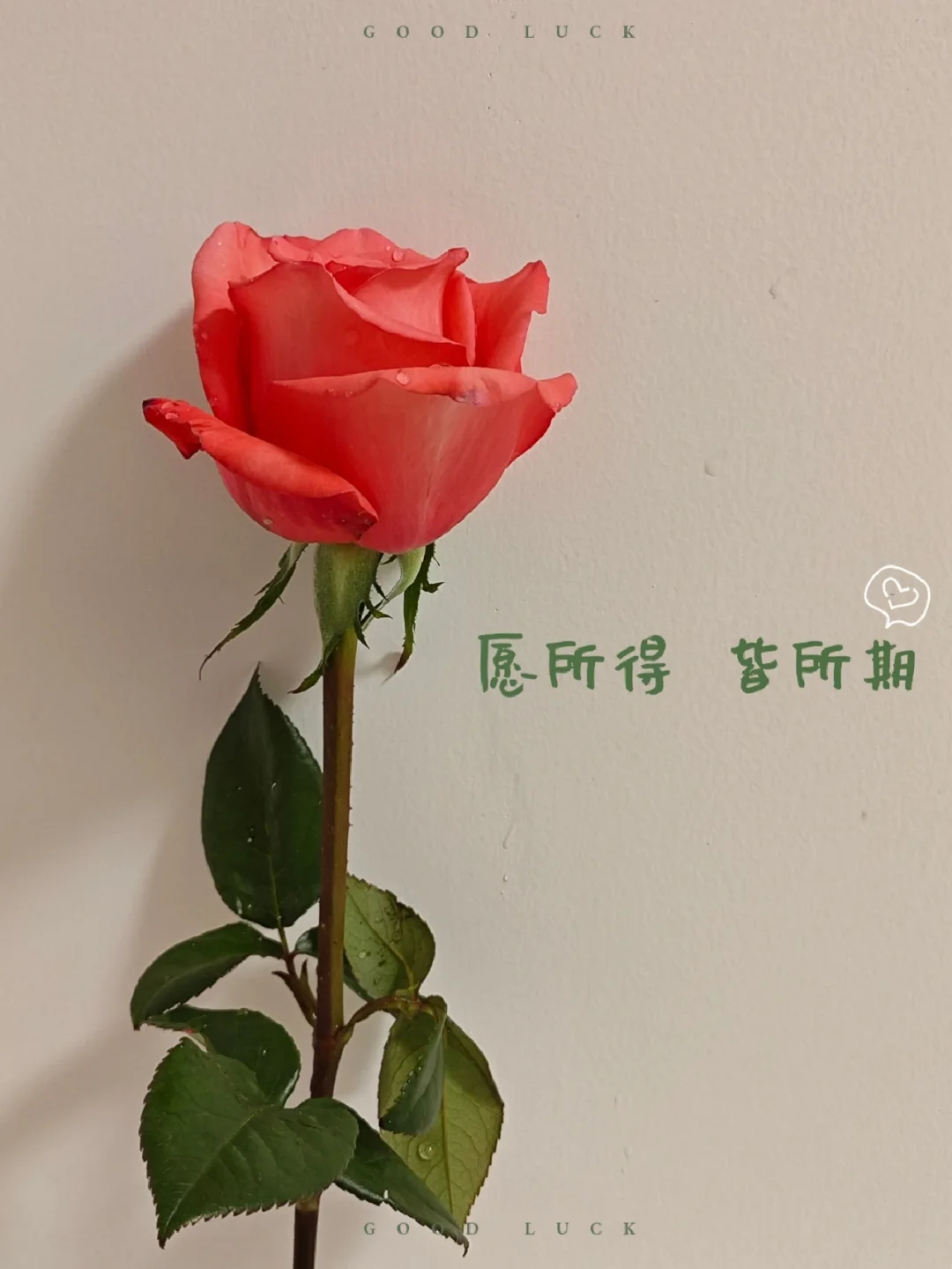 决胜时刻即将到来，精彩可期的简单介绍